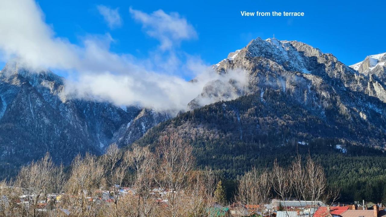 Cozy Riverfront Apartments With Garden And Mountain View Buşteni Exterior foto